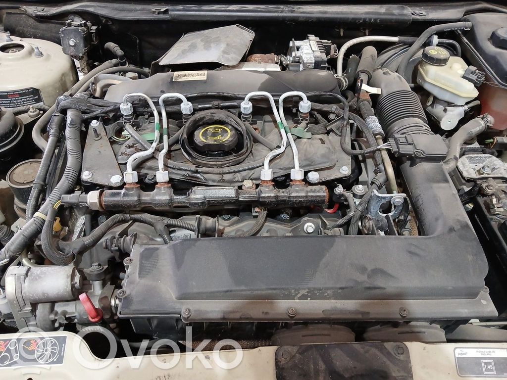 Jaguar X-Type Motor