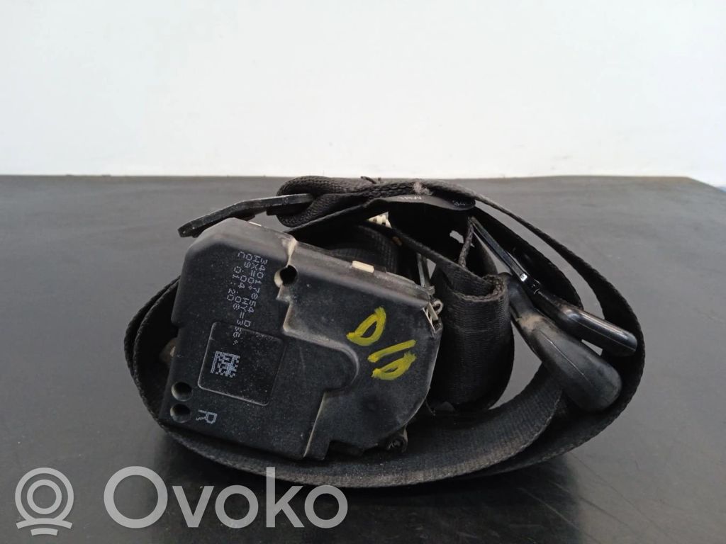 Cinturón delantero   34017854D,34017854D