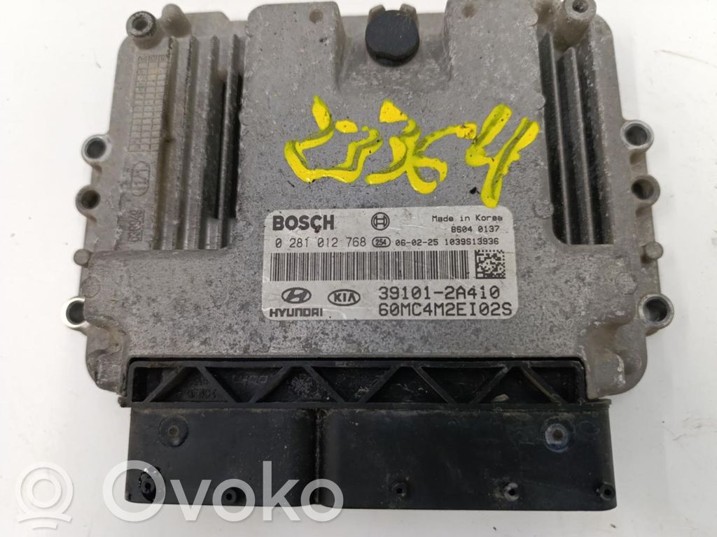 Engine control unit/module ECU   391012A410