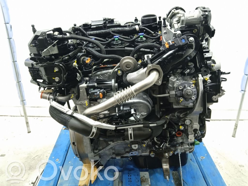 Motor   XWDG,XWDG