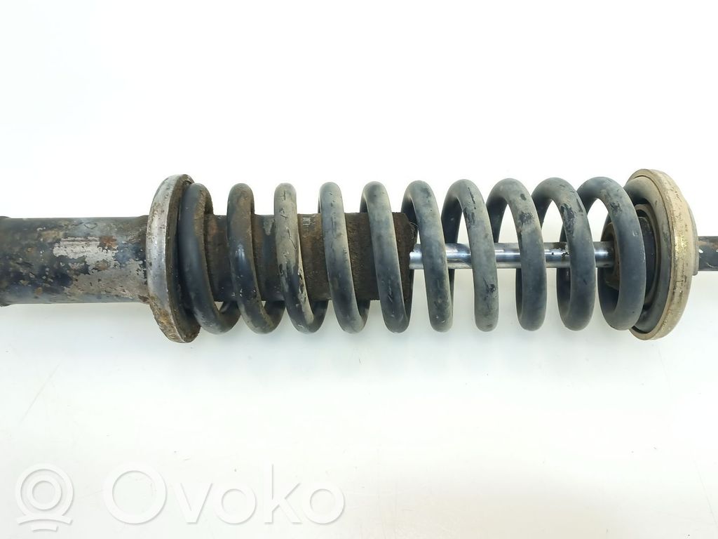 Stoßdämpfer hinten   007381,007381