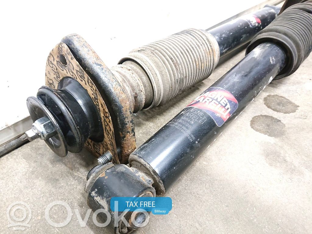 Stoßdämpfer hinten   6750361,6750361,33526750361