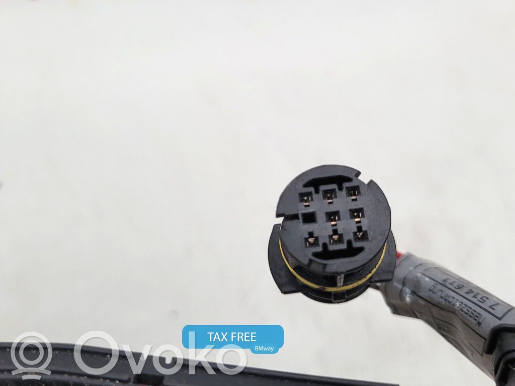 BMW X5 E53 Fuel injector wires 