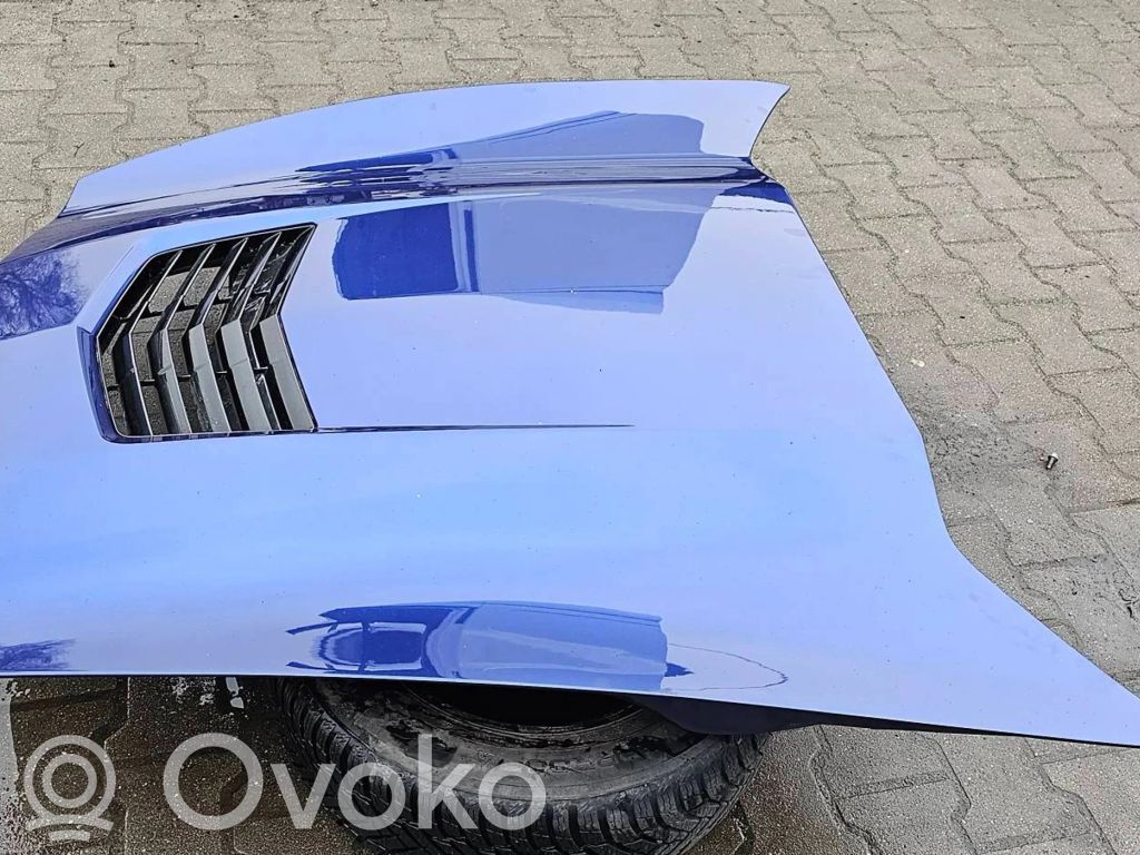 Dzinēja pārsegs (vāks)