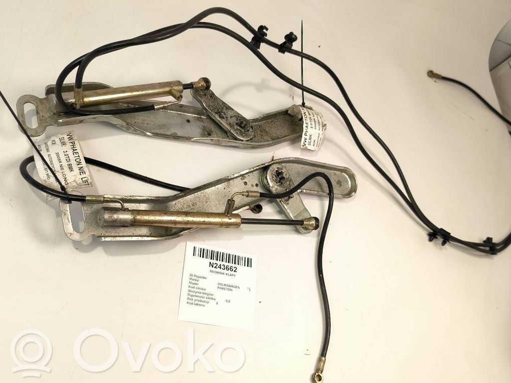 Tailgate strut   3D5827583A