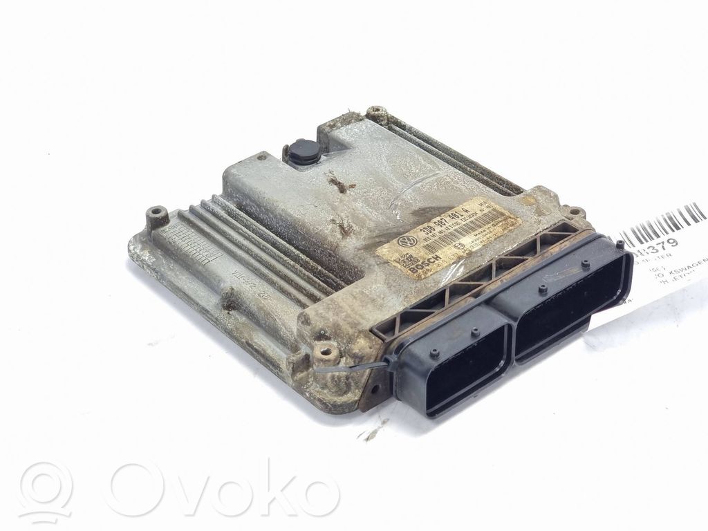 Volkswagen Phaeton Engine control unit/module 