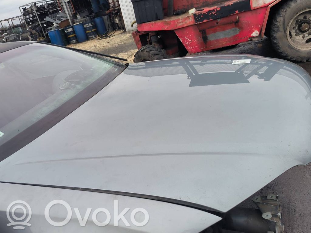 Engine bonnet/hood