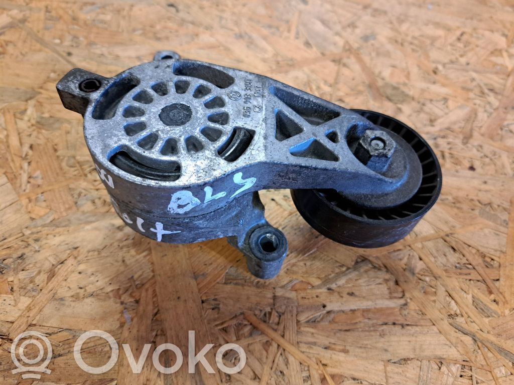 Audi A3 S3 8P Tensor de la correa del alternador 