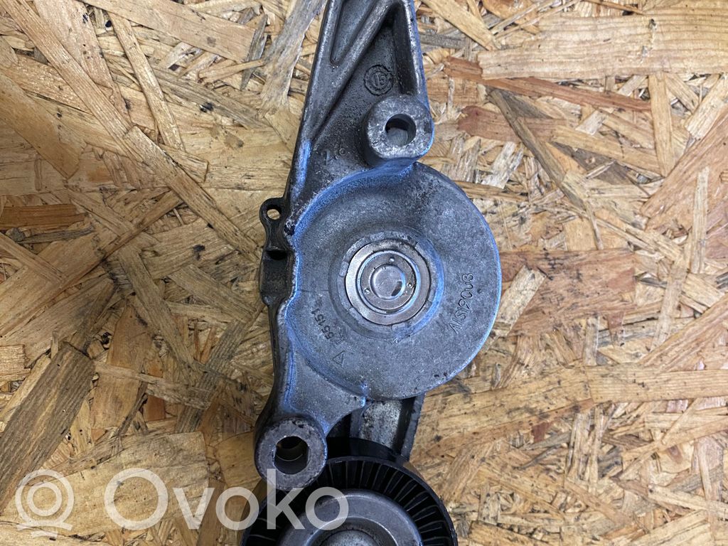 Volkswagen PASSAT B6 Napinacz paska wielorowkowego / Alternatora 