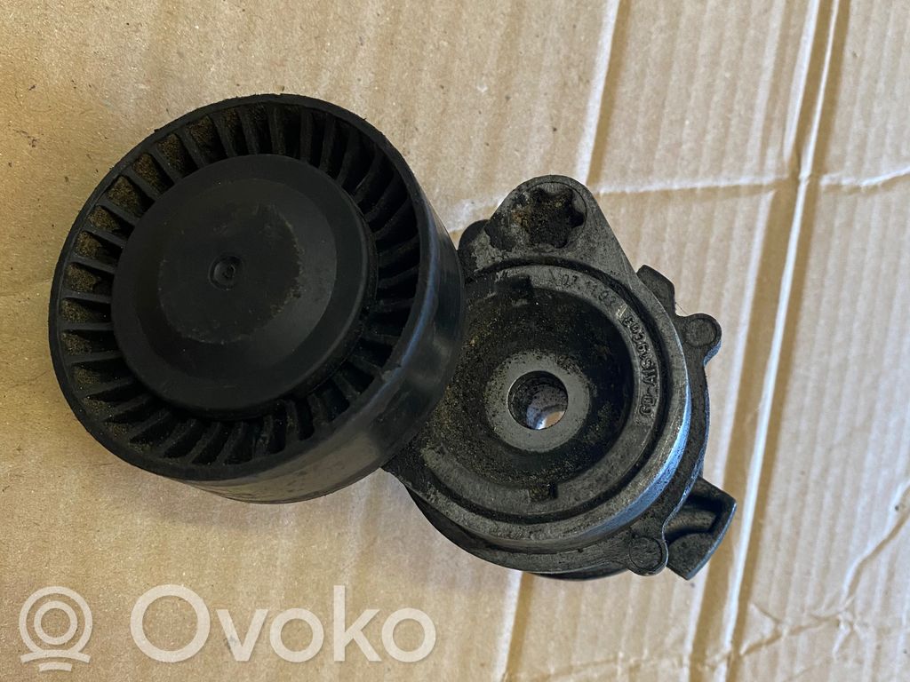 BMW 3 E46 Generator/alternator belt tensioner 