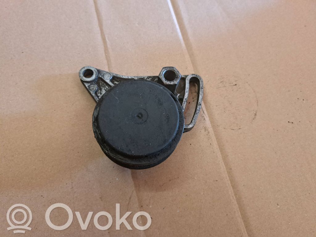 Audi A4 S4 B6 8E 8H Diržo įtempėjas 
