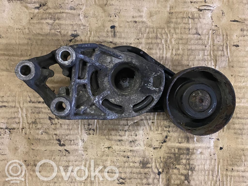 Skoda Fabia Mk2 (5J) Tensor de correa del alternador 