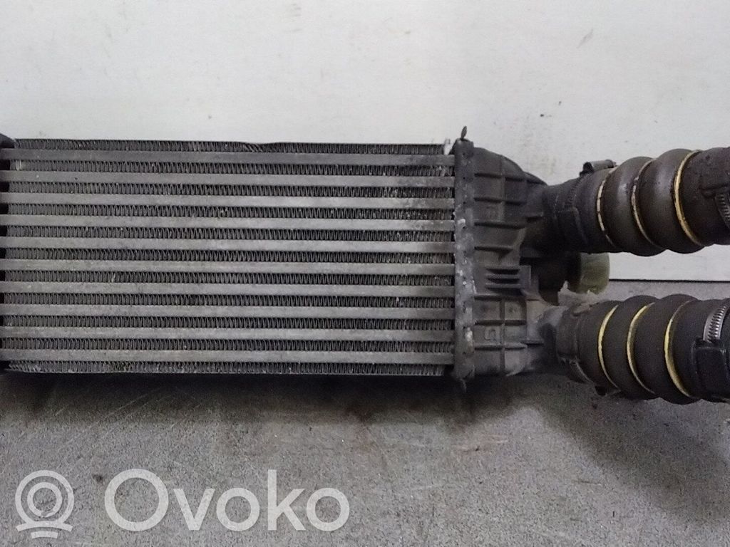 Peugeot 207 Starpdzesētāja radiators 