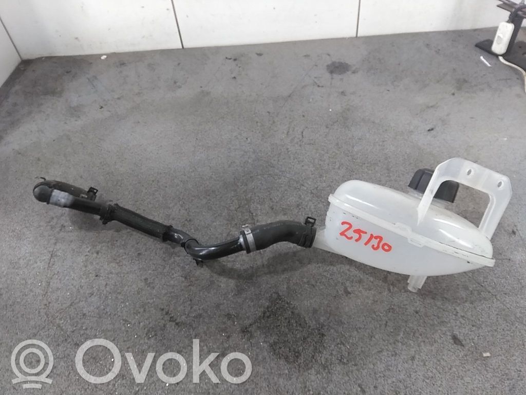 Renault Megane E-Tech Vas expansiune/rezervor lichid de răcire 