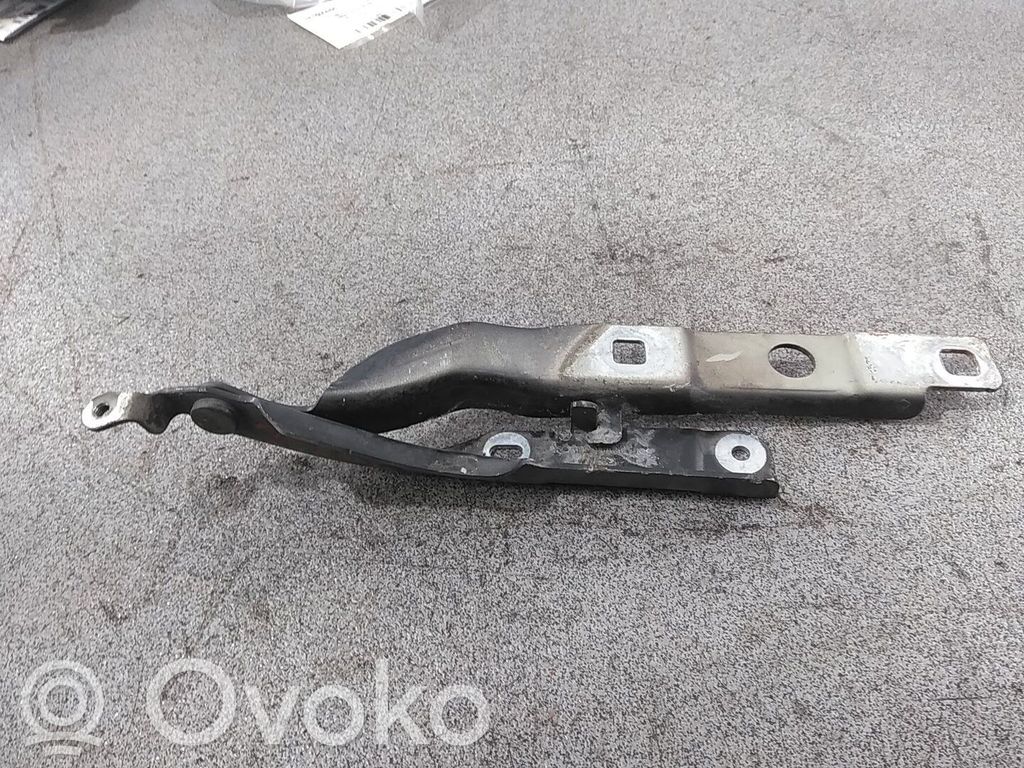 Bisagras del capó/tapa del motor   9801113880