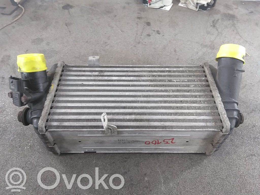 KIA Rio Interkūlerio radiatorius 