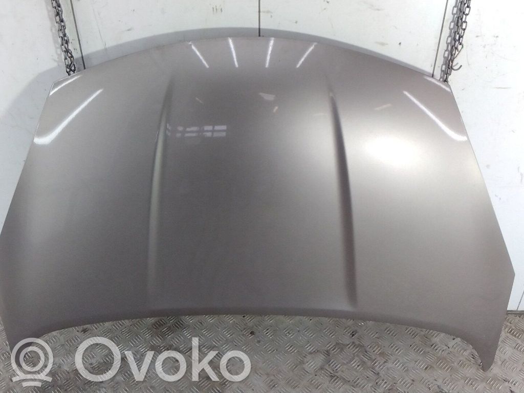 Motorhaube   F5100BH0MA