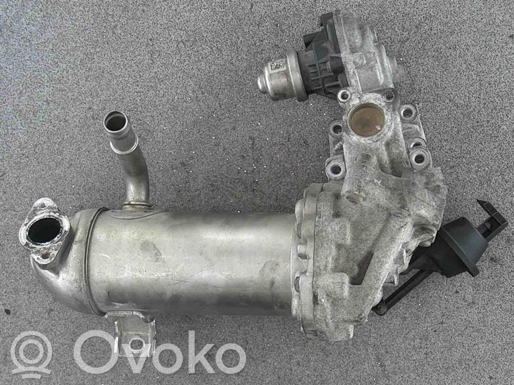 EGR valve