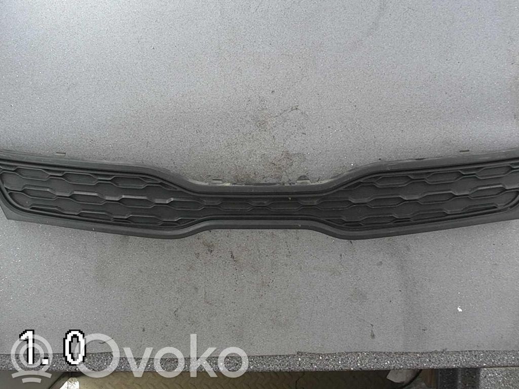 Front grill   863511W220