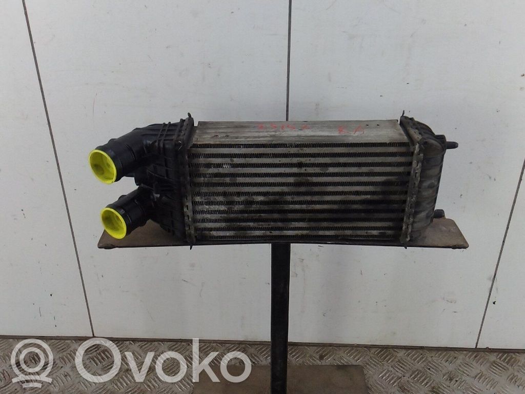 Radiatore intercooler   9803900780