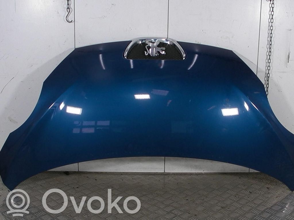 Capó/tapa del motor   1611149380
