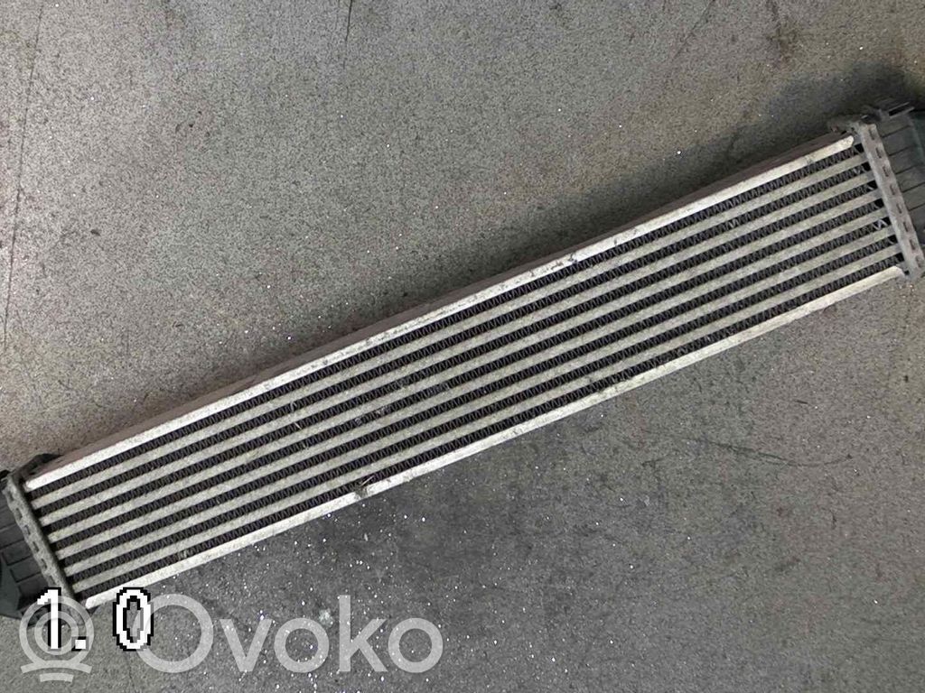 Chłodnica powietrza doładowującego / Intercooler   A1695000000,1695000900,A1695000000