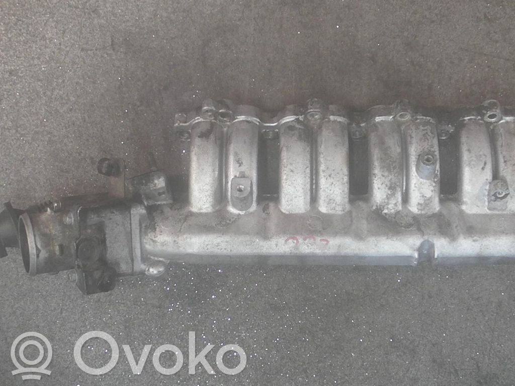 Kolektorius įsiurbimo   283102A610,351002A700
