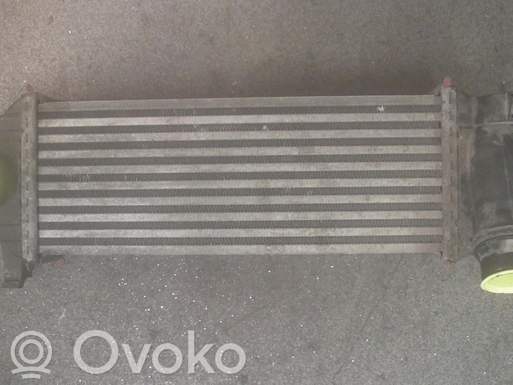 Mercedes-Benz Citan W415 Chłodnica powietrza doładowującego / Intercooler 