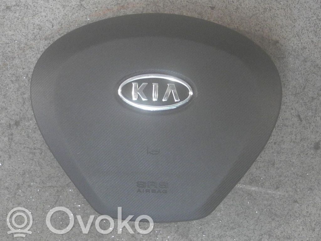 Matkustajan turvatyyny   569001H000EQ
