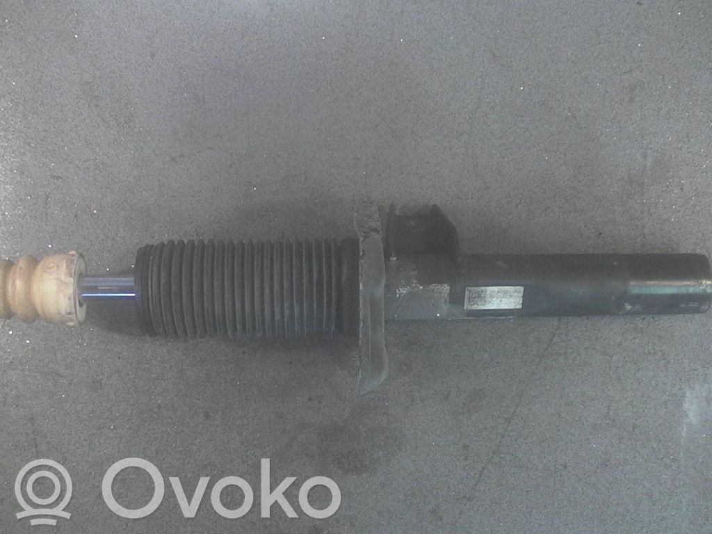 Amortyzator osi przedniej ze sprężyną   TOPLEJEOGFJEDER,1K0413031BE