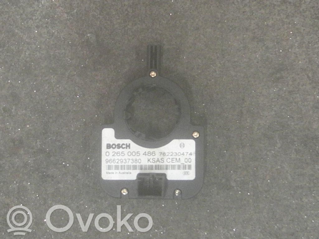 Lenkwinkelsensor