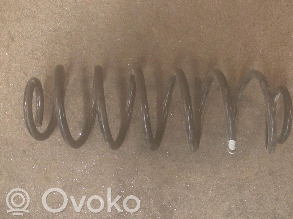 Rear coil spring   1859224