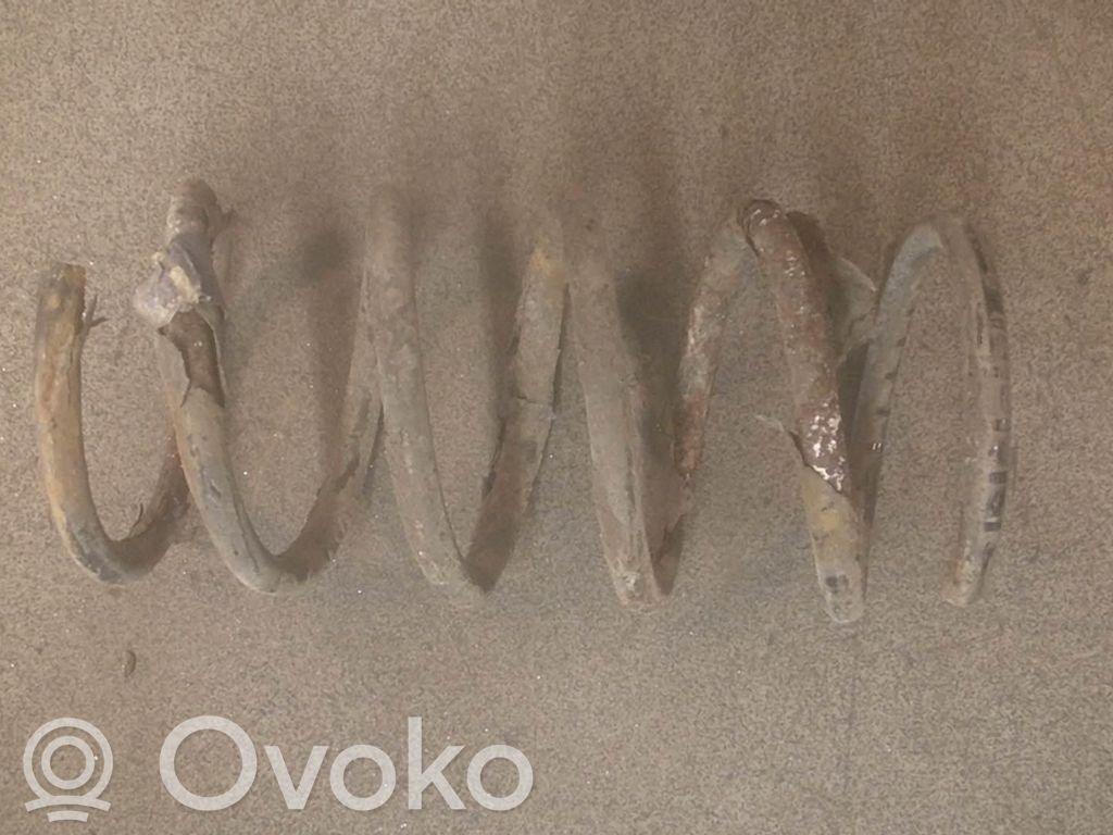 Rear coil spring
