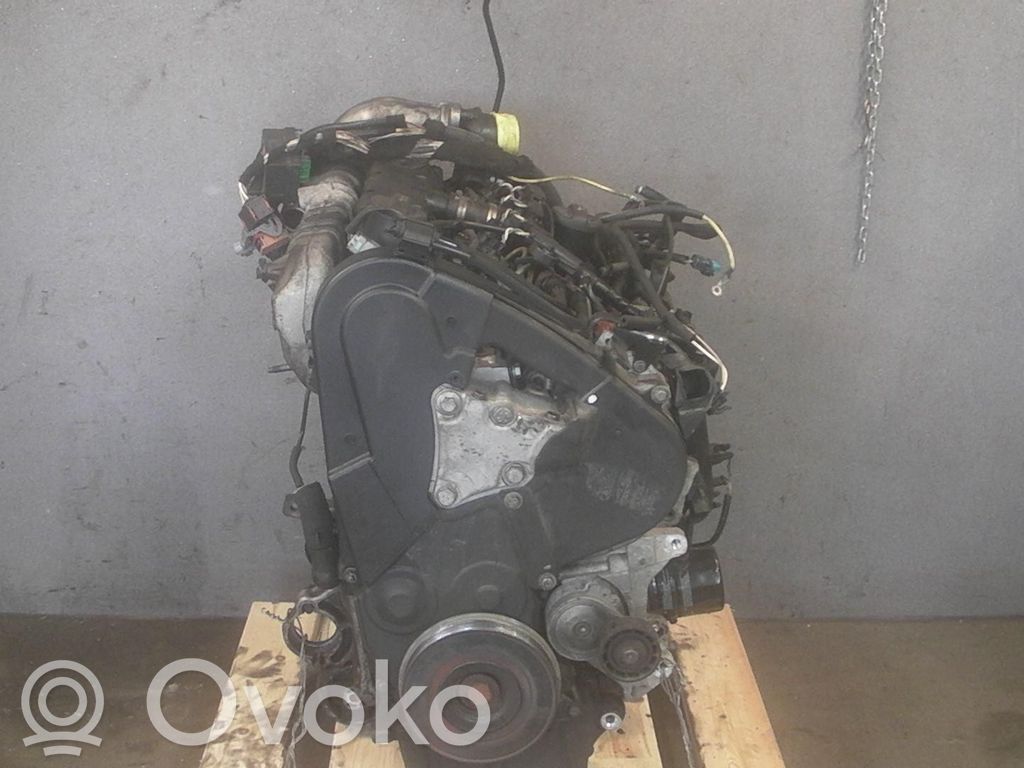 Motor