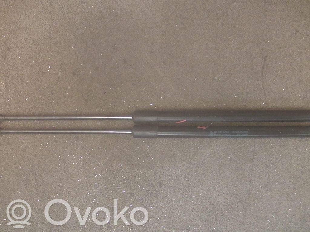 Ford Fiesta Ammortizzatore portellone posteriore/bagagliaio 