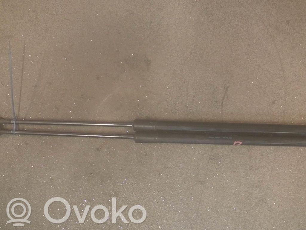 Vérin de capot arrière   2STK