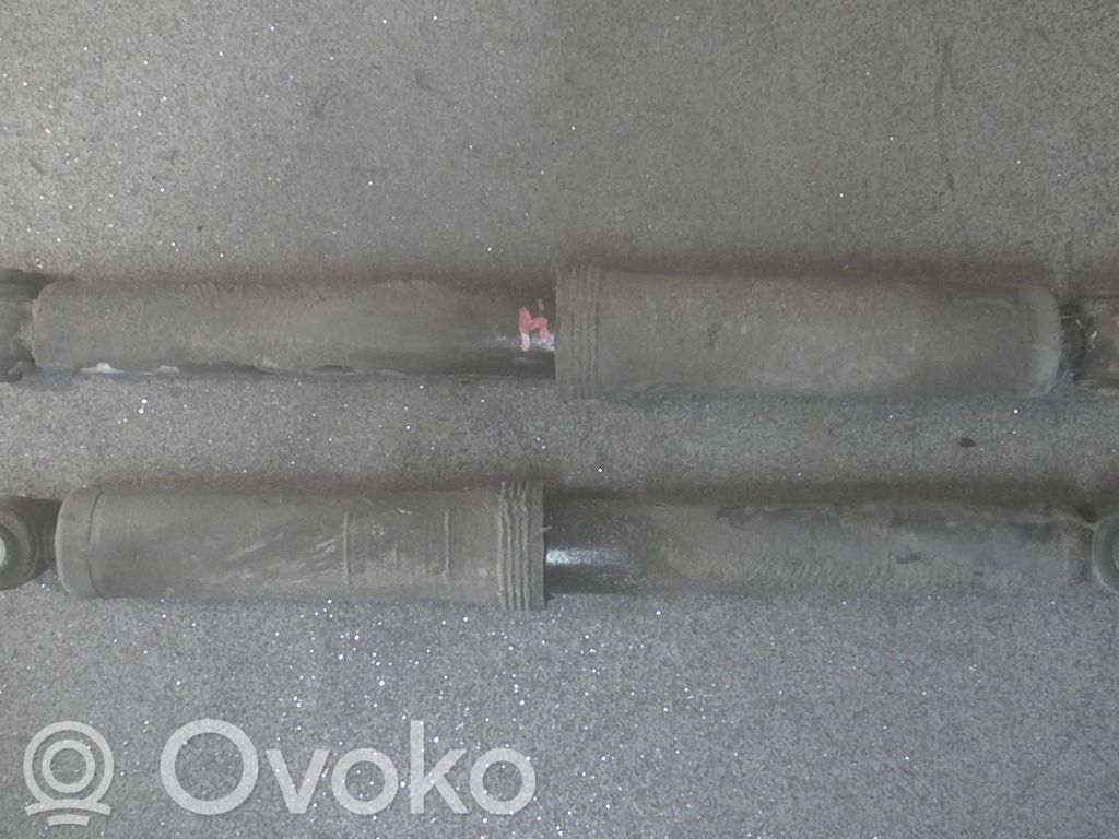 Citroen C3 Ammortizzatore posteriore