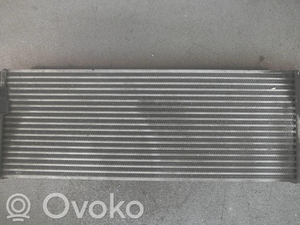 Land Rover Discovery Interkūlerio radiatorius 