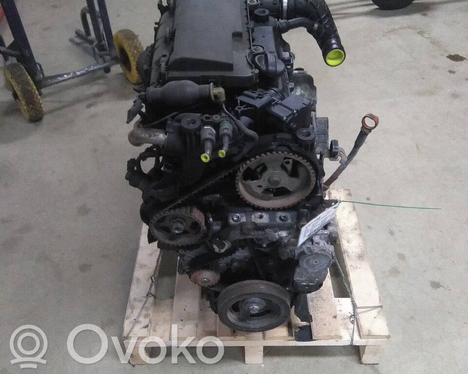 Motor