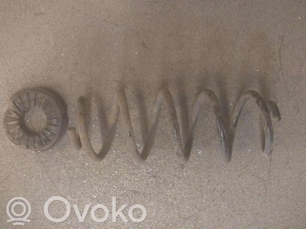 Muelle espiral trasero