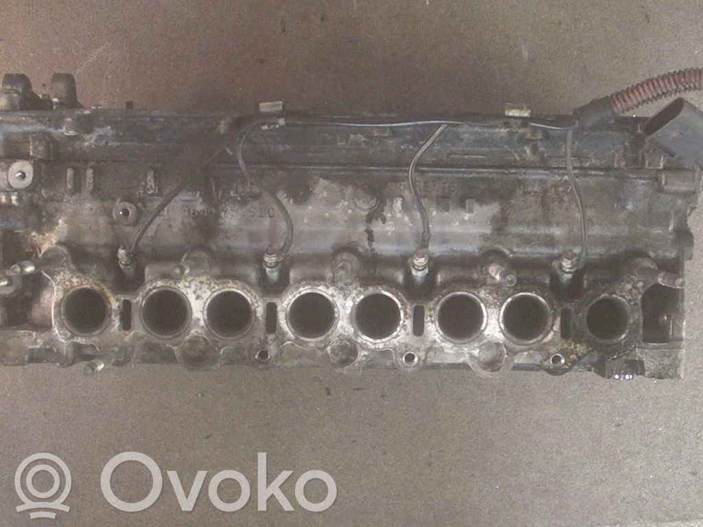 Galvutė   8252347,8252347