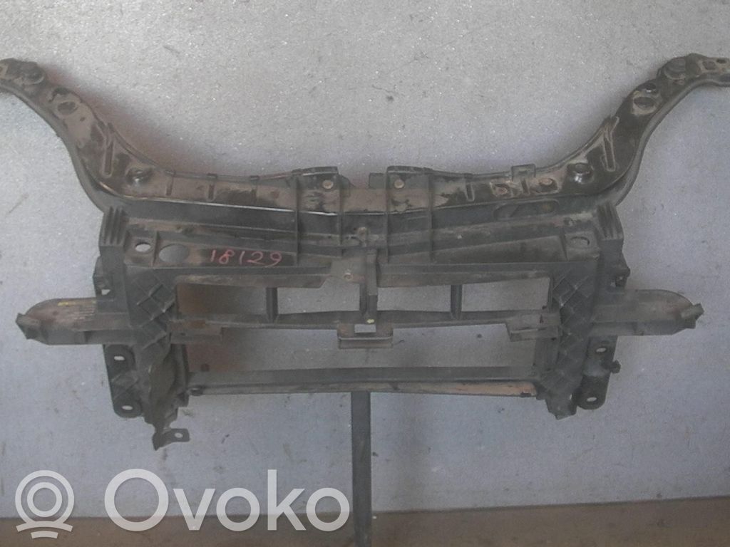 Radiatoru panelis   1528654