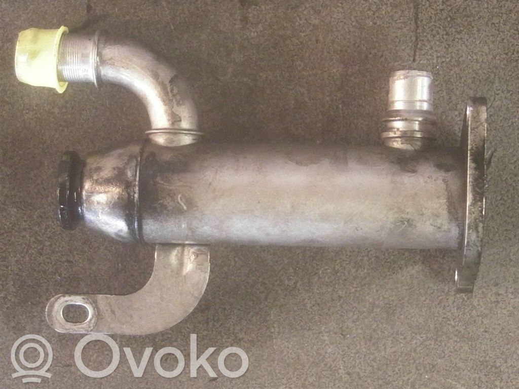 Volvo S40 Răcitor supapă EGR 