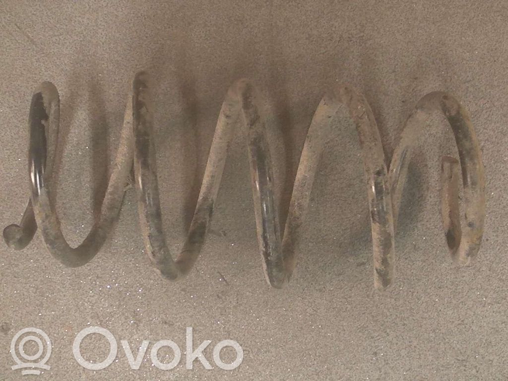 Front coil spring
