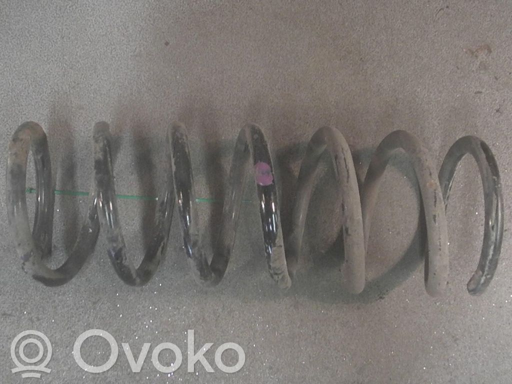 Muelle espiral trasero