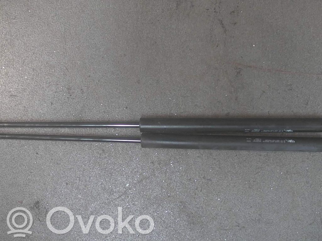 Vérin de capot arrière   2STK