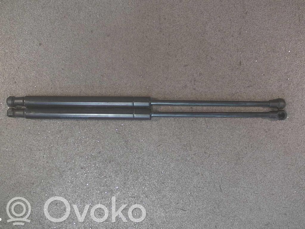 Amortiguador/puntal del maletero/compartimento de carga   2STK