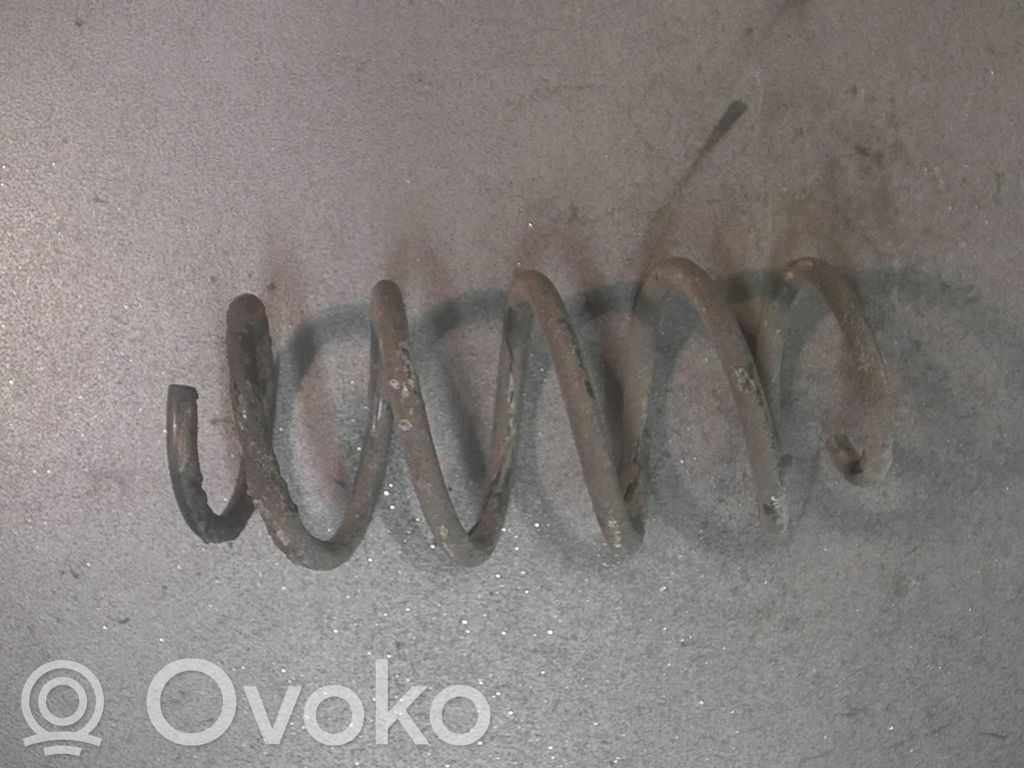 Front coil spring