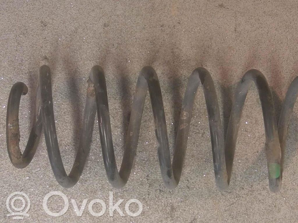Rear coil spring
