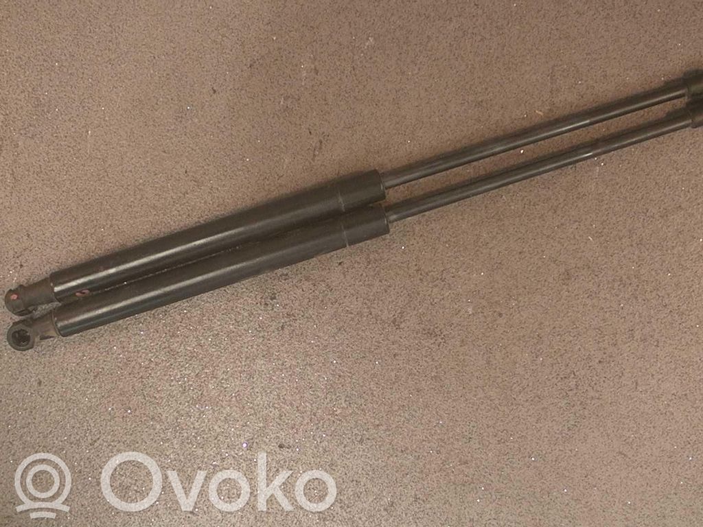 Tailgate/trunk strut/damper   2STK